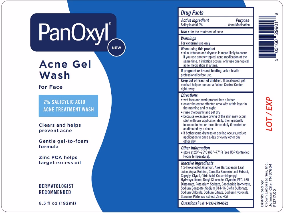 Acne Gel Wash